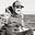 Avatar de Jorge Lozano