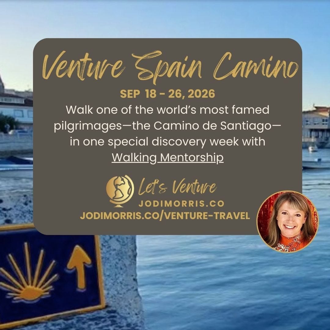 Venture Spain Camino 2026 Venture Spain Camino 2026