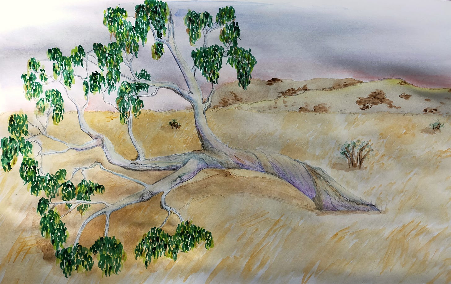 The Ghost Gum, by Alia Parker, Copyright