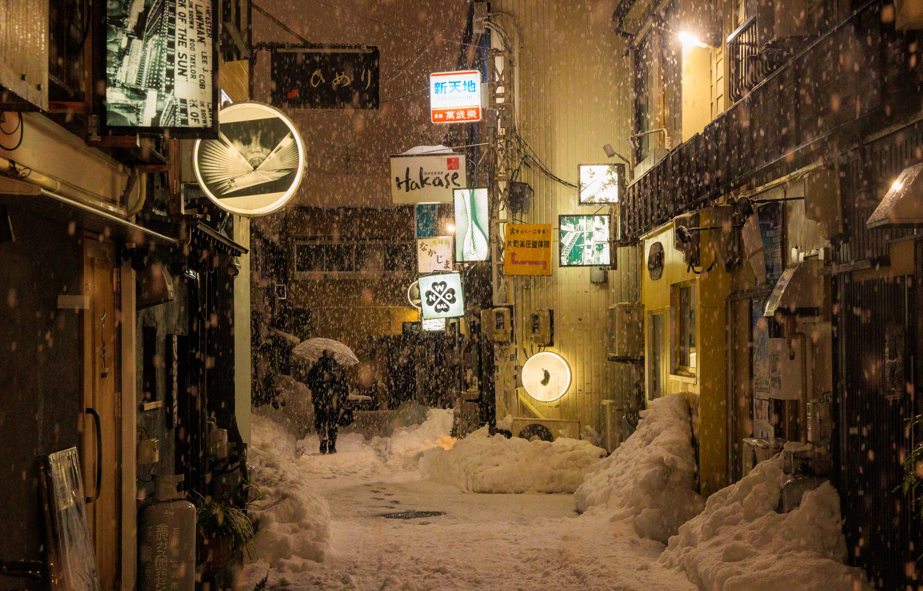 Snow Falling on Cedars - by Burcu Basar