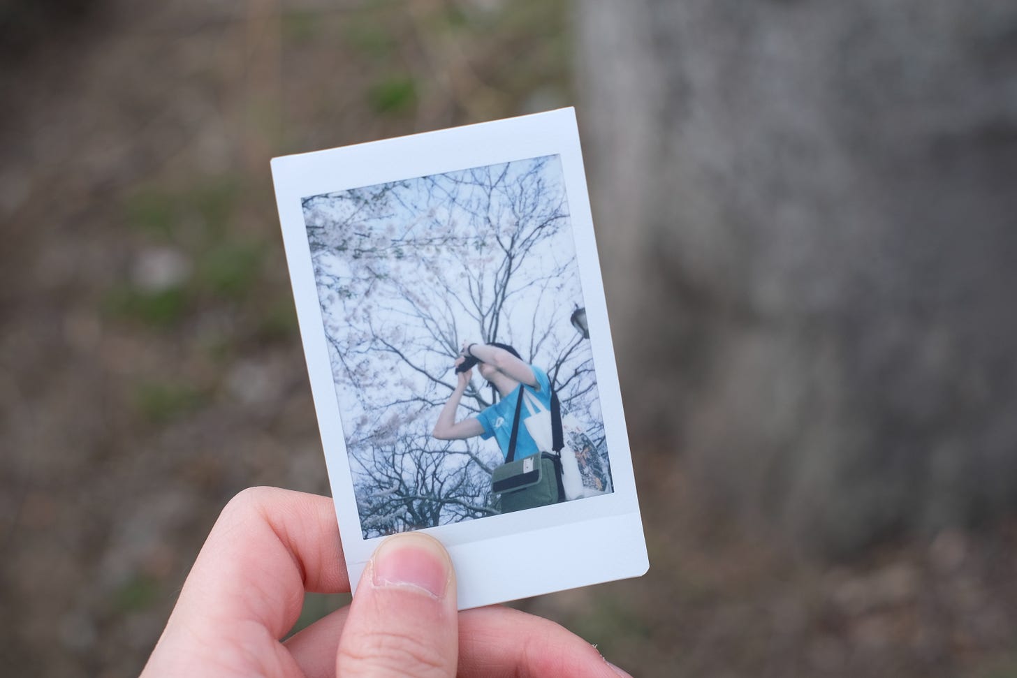 hand holding polaroid, showing a person taking picture of the trees
