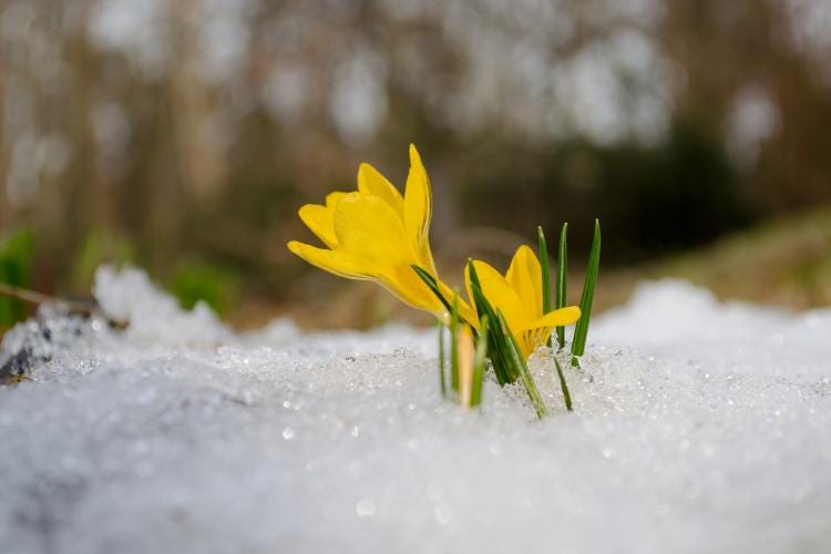 spring-equinox-ten-things spring-equinox-ten-things