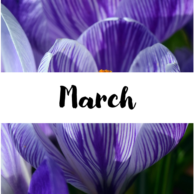 A purple flower. In a white banner, the text reads "March" A purple flower. In a white banner, the text reads "March"