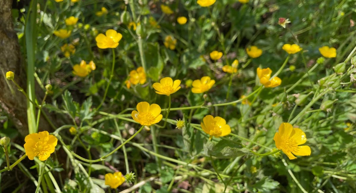 Can you help create a vision for a better world?