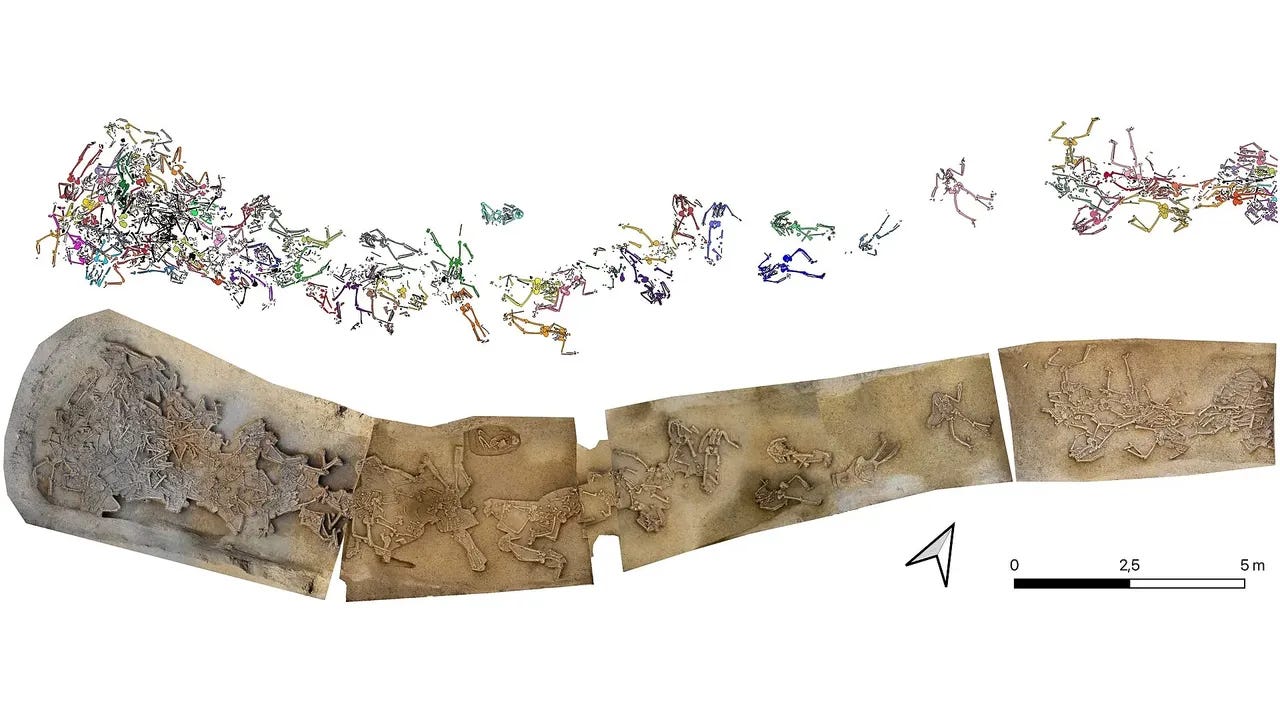 The mass burial of skeletons in the settlement ditch (below) with drawings of the individual skeletons (above). (Image credit: Katharina Fuchs, Agnes Heitmann, Nils Müller-Scheeßel, Till Kühl) The mass burial of skeletons in the settlement ditch (below) with drawings of the individual skeletons (above). (Image credit: Katharina Fuchs, Agnes Heitmann, Nils Müller-Scheeßel, Till Kühl)