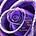 Spiral of the Rose's avatar