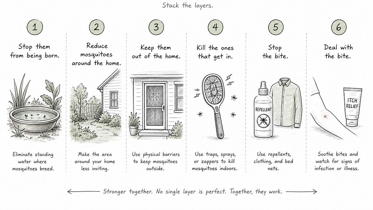 How to Get Rid of Mosquitoes Around You