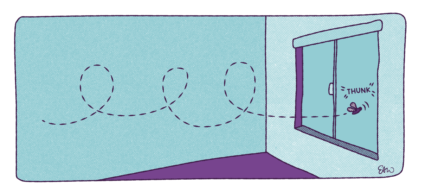 First panel in a multi-panel comic showing a cartoon of a house file flying and hitting a window pane with a thunk sounds.