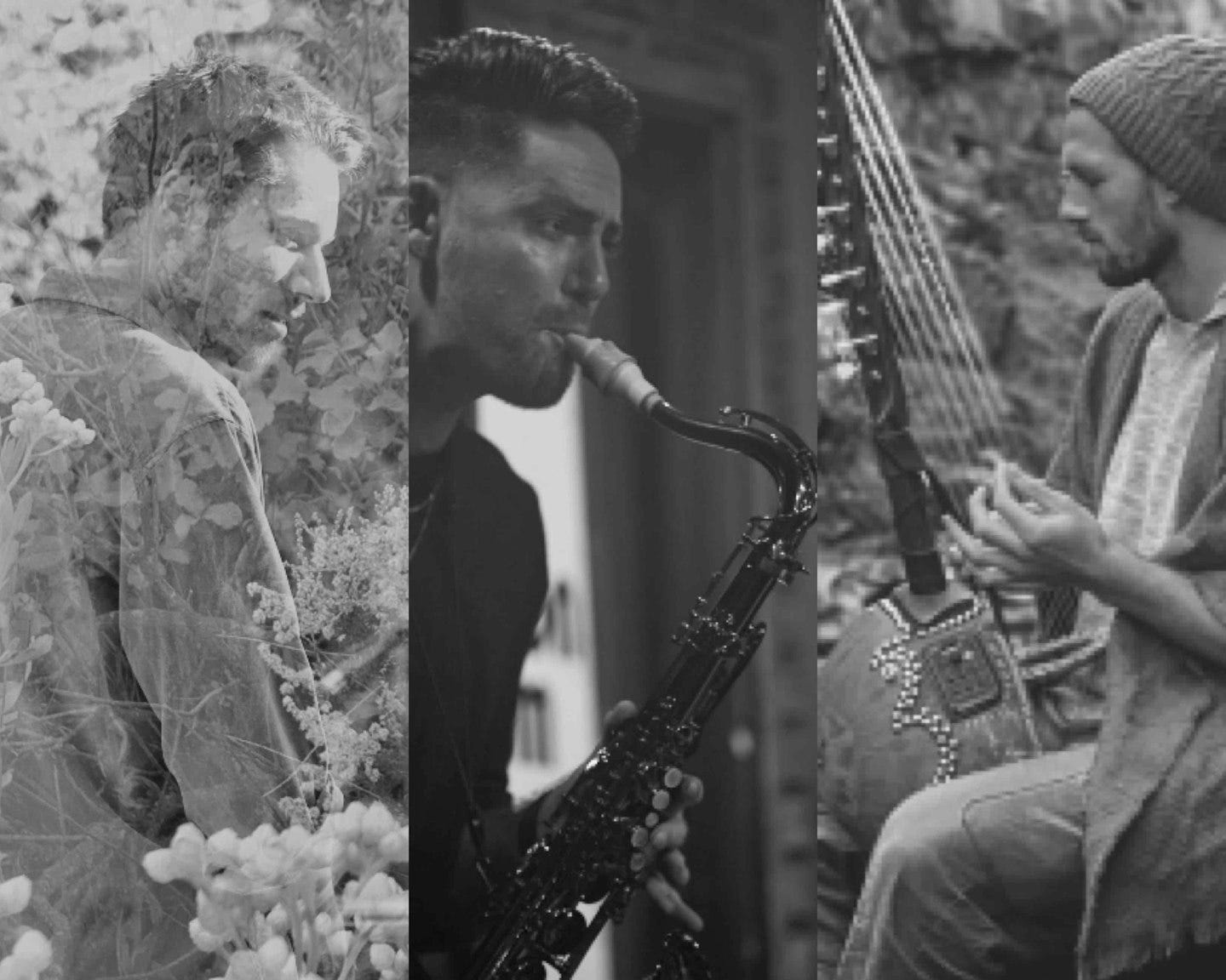 IMG_1704.jpg IMG_1704.jpg