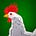 Dana Rovang's avatar