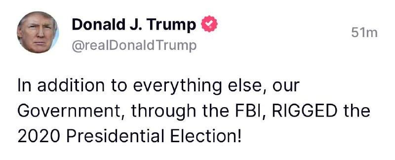 May be a cartoon of 1 person, standing and text that says 'Donald J. Trump @realDonaldTrump 51m In addition to everything else, our Government, through the FBI, RIGGED the 2020 Presidential Election!'