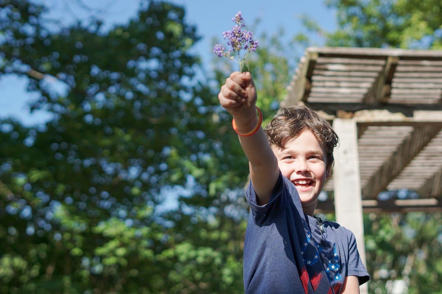 Little boy in a blue shirt holding a purple flower in triumph 