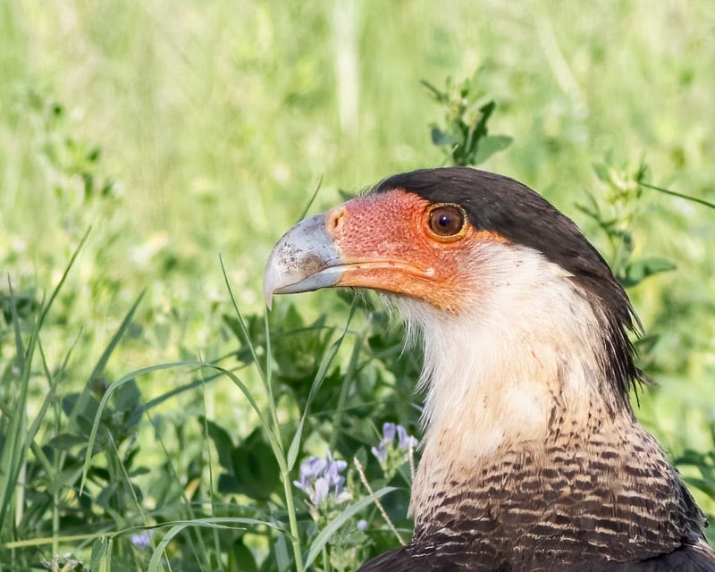 20250801-Manville-655-Edit.jpg 20250801-Manville-655-Edit.jpg