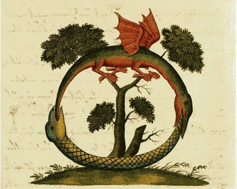May include: A red and green dragon with wings is curled into a circle, biting its own tail. The dragon is perched on a tree with green leaves. The background is a light beige.