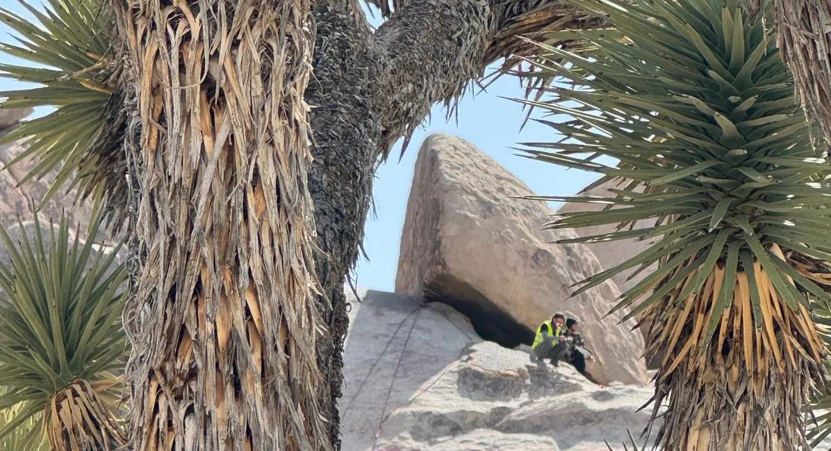 Hundreds Protest Firings at Joshua Tree National Park, March 1, 2025