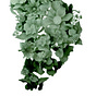 Tobias Rees's avatar