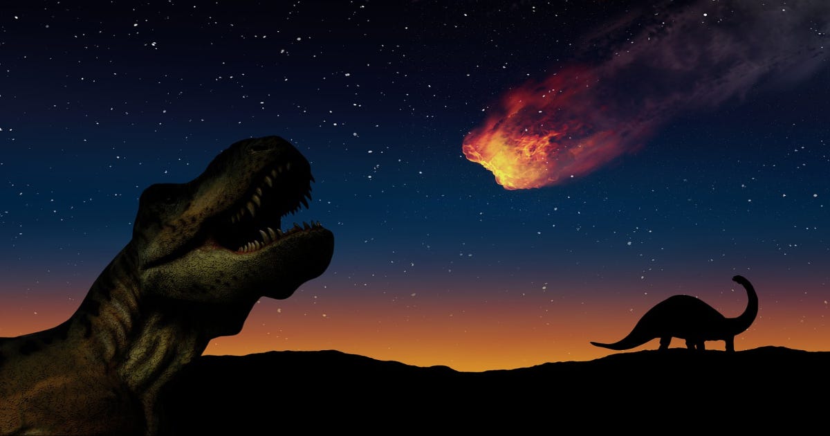 L'estinzione dei dinosauri: confermata la validità dell'ipotesi  dell'asteroide | Il Bo Live UniPD