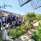 RHS Chelsea 2025: My Very Honest Preview