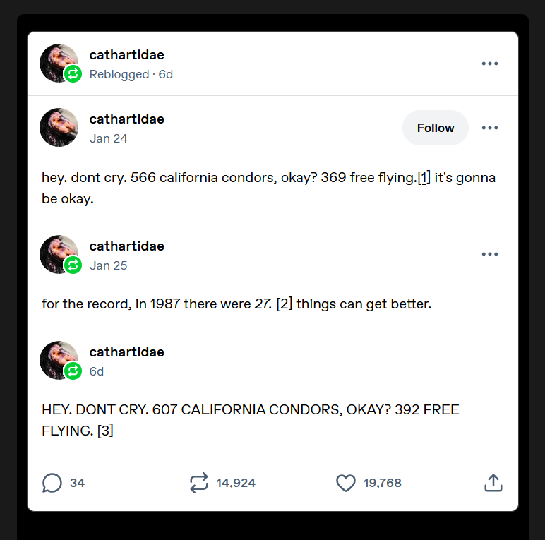 Tumblr post. cathartidae: hey. dont cry. 566 california condors, okay? 369 free flying.[1] it's gonna be okay. cathartidae: for the record, in 1987 there were 27. [2] things can get better. cathartidae: HEY. DONT CRY. 607 CALIFORNIA CONDORS, OKAY? 392 FREE FLYING. [3]