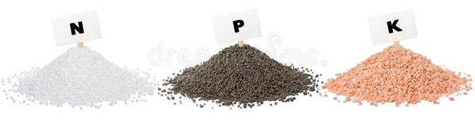 Chemical fertilizers isolated on white background. nitrogen, phosphate, potassium. Chemical fertilizers stock images, royalty-free photos and pictures