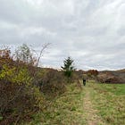 Creating Artwork Guided by Farmers: Collaboration with Hawthorne Valley Farm