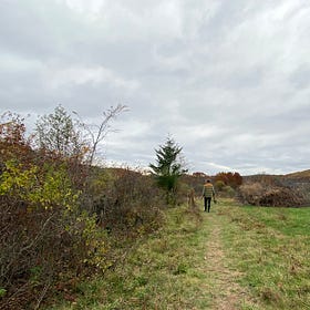 Creating Artwork Guided by Farmers: Collaboration with Hawthorne Valley Farm