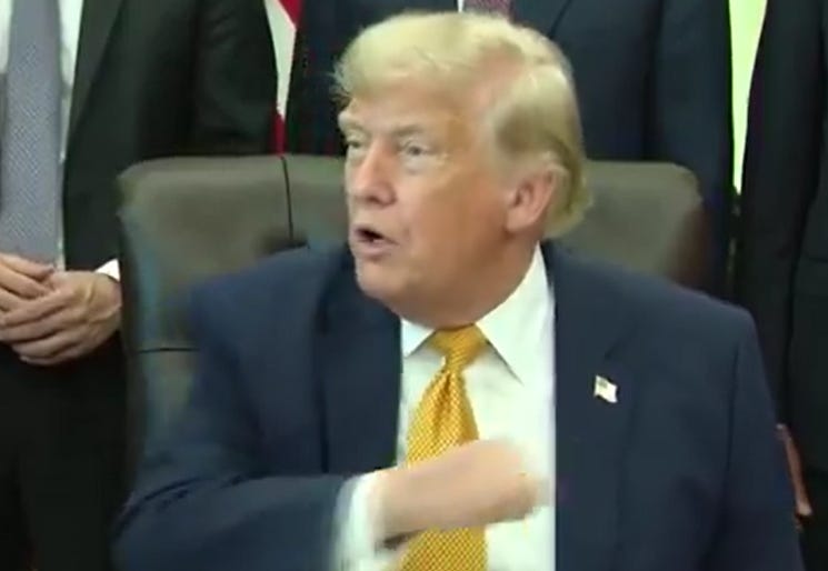Trump Melts Down When Reporters Challenge His Reflecting Pool Vandalism Story