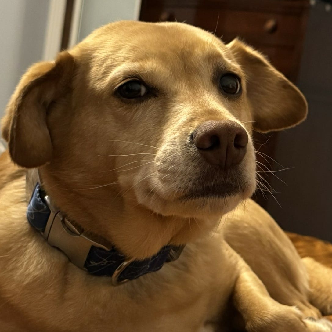 What did you expect?