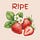 RIPE