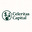 Celeritas Capital's avatar