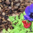 Growth: Product Marketing Enables True Revenue Alignment