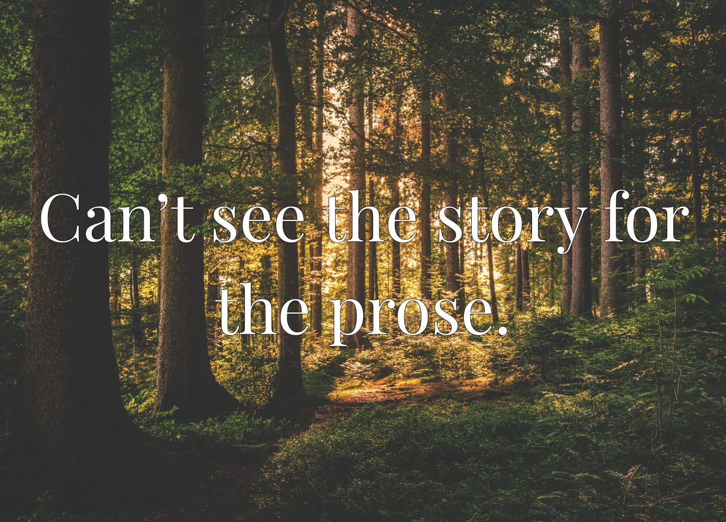 Pitcture of the forest with the words "Can't see the story for the prose."