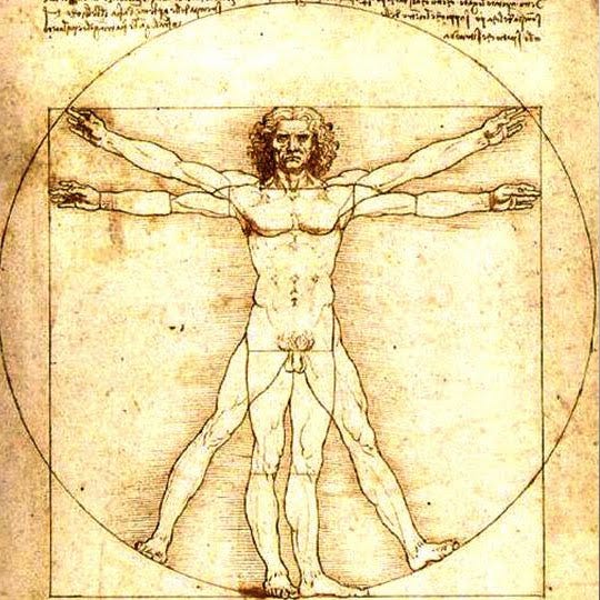 The Art in Science: Who the heck is The Vitruvian Man?