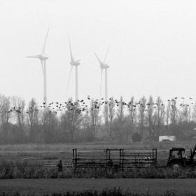 Fossil Fuel Power Plants Kill 35x More Birds Than Wind Turbines