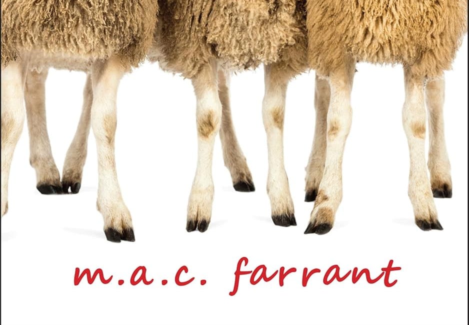 Seventy-Two Seasons: A Memoir About Noticing by M.A.C. Farrant