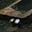 Life so Badly's avatar