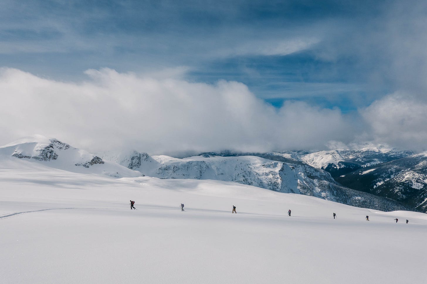 __wf_reserved_inherit