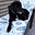 Bill Alstrom (MA/Maine/MA)'s avatar