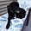 Bill Alstrom (MA/Maine/MA)'s avatar