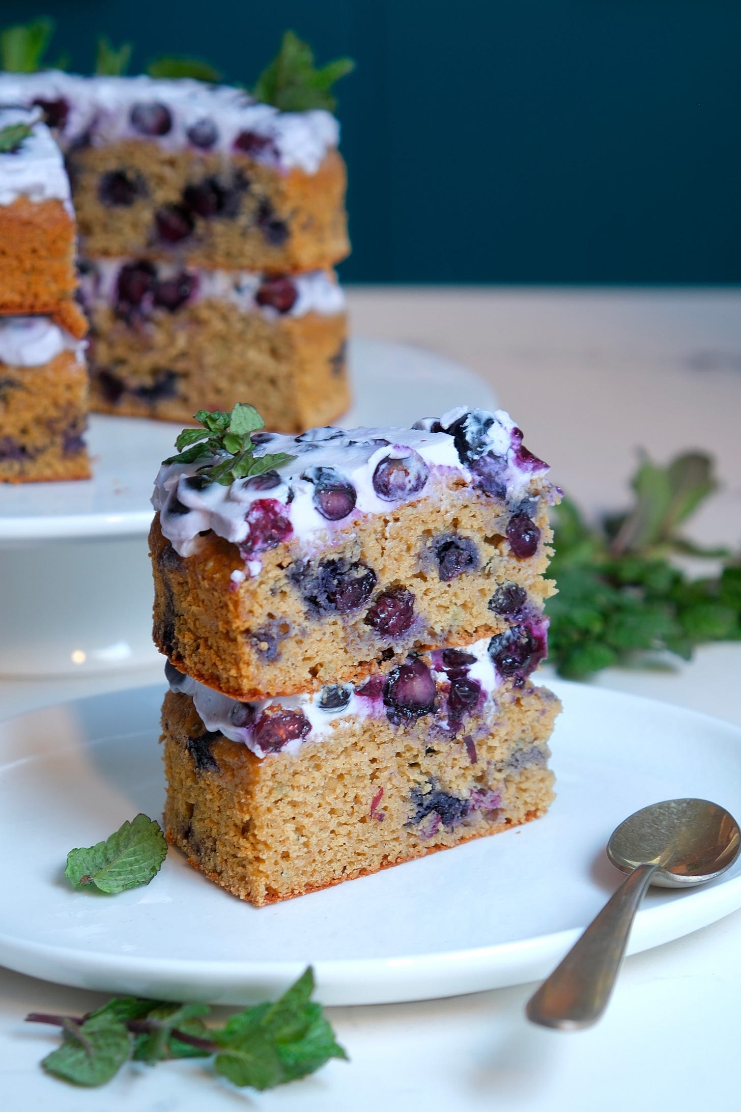 Hemp Blueberry High-Protein Cake Hemp Blueberry High-Protein Cake