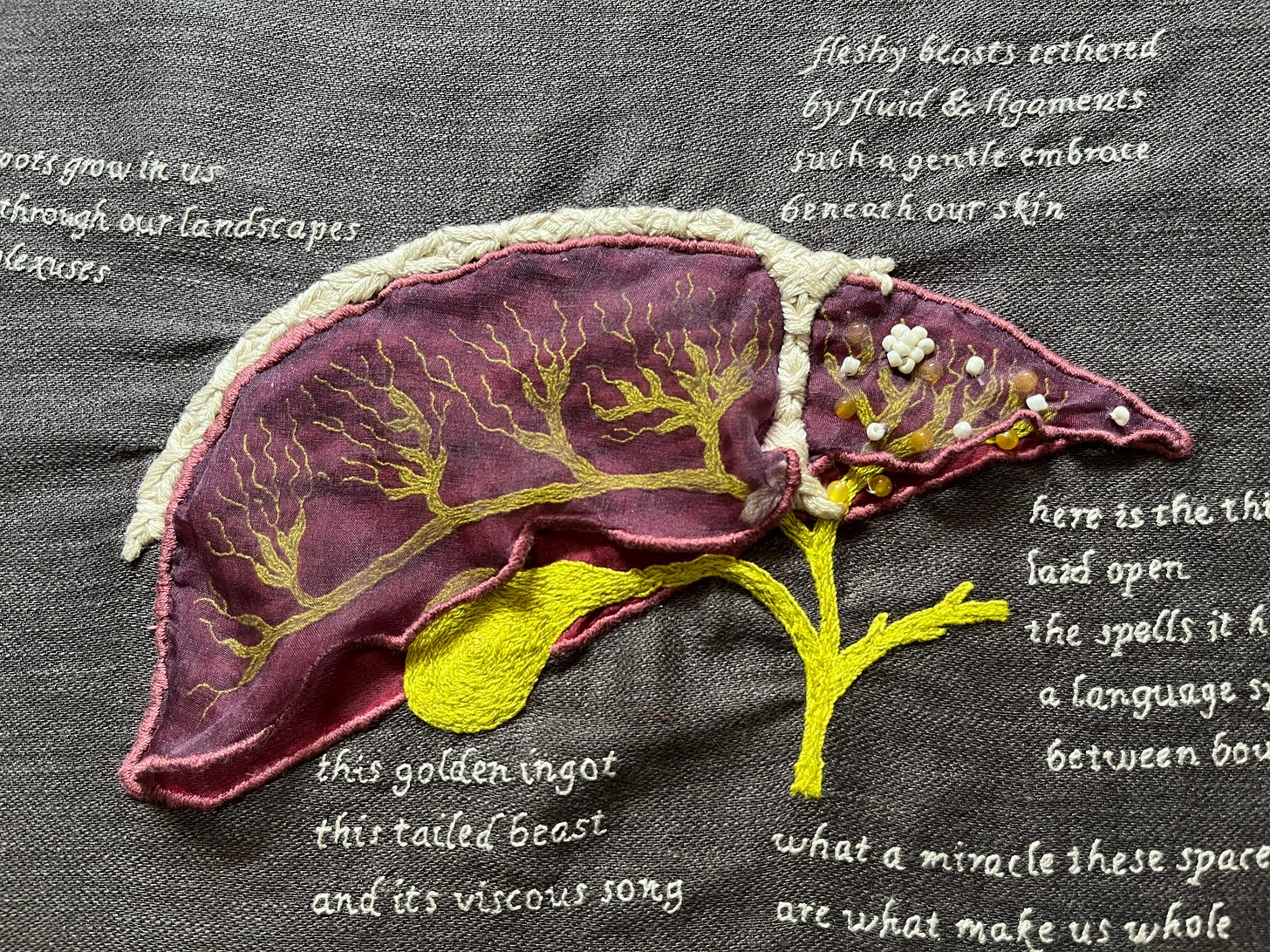 A red & purple organza liver basted onto grey linen. The biliary system with all its branches between the two layers of organza is filled with bilious green. There are small yellow beads on the biliary system inside & white beads on top of the smaller lobe. An arched T shape with tight crisscrossing stitches in thick off-white thread separates the large & small lobes and curves over the top. There are blocks of text stitched in light grey single strand thread around the image. Some of them are cut off in this photo. They read: roots grow in us. through our landscapes. plexuses. fleshy beasts tethered. By fluid and ligaments. Such a gentle embrace. Beneath our skin. Here is the thing. Laid open. The spells it. A language. Between. this golden ingot. This tailed beast. And its viscous song. What a miracle these spaces. Are what make us whole.
