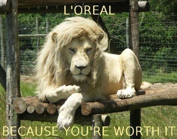 13 Amazingly Hilarious Lion Memes - I Can Has Cheezburger?