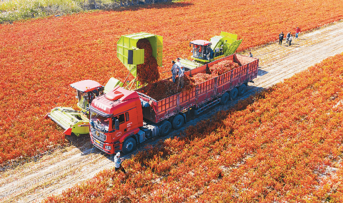 Article Image - 1