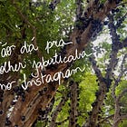 meu quintal #24: redes sociais: fã ou hater?
