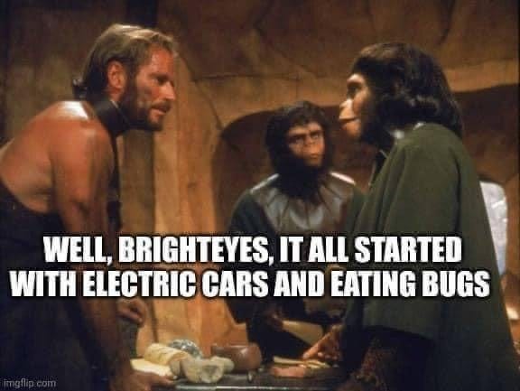 r/ConservativeMemes - Damn dirty apes