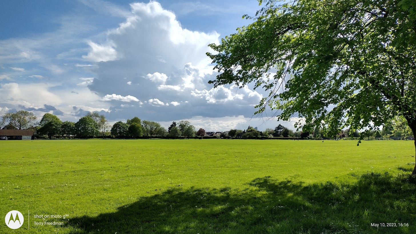 Clouds, trees and grass, by Terry Freedman