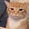 aini's avatar