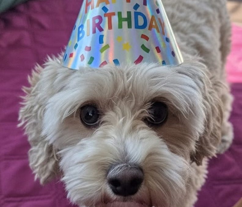 Happy Birthday, TBR! - by Andy Borowitz