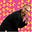 Olof Bergvall's avatar