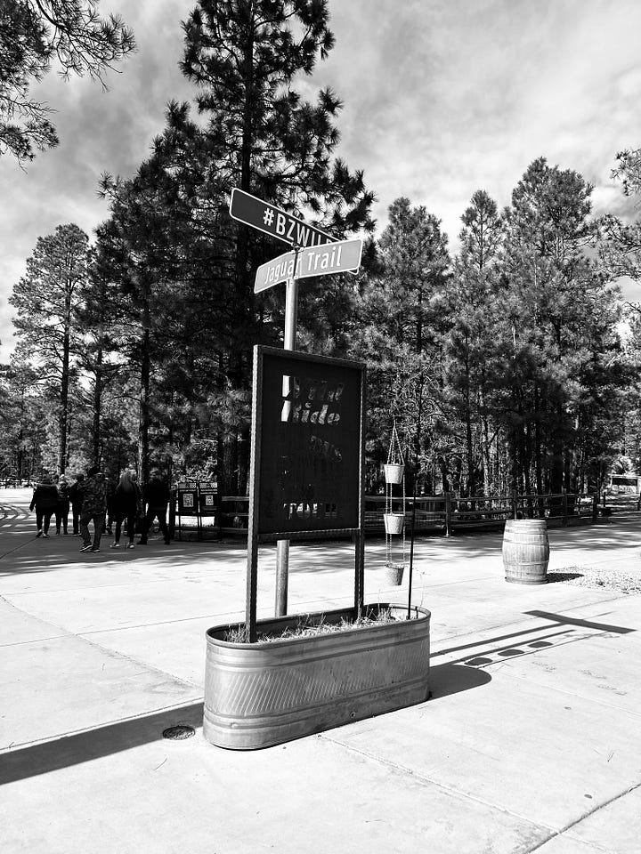 signs, walkway, trees